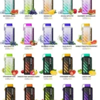 VOZOL GEAR 20000 PUFF