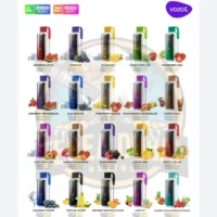 Vozol 20000 puff star